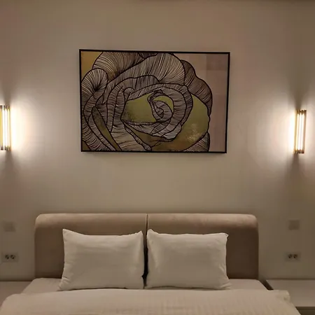 Rokebea Luxury アパート ブラショフ